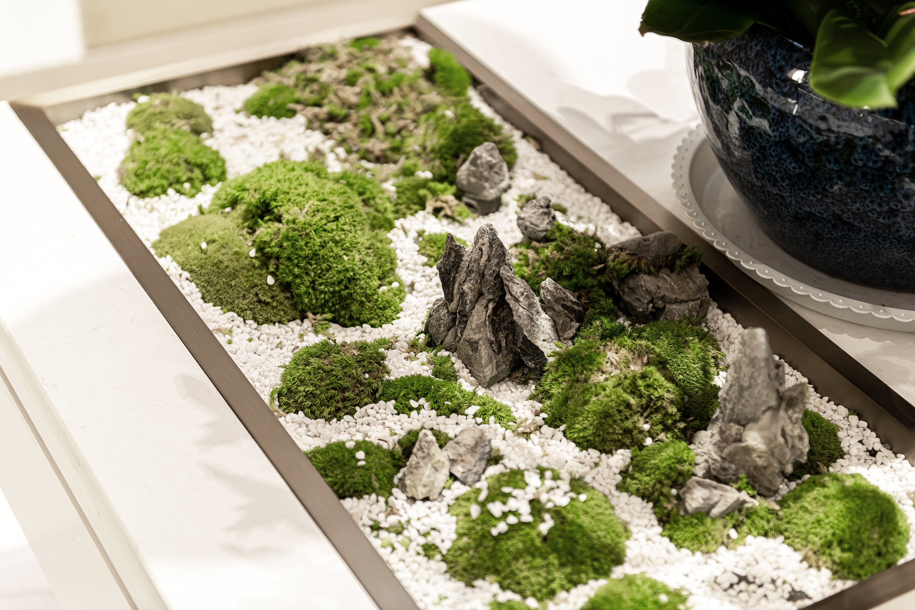 碧桂园·春风南岸（渭南）