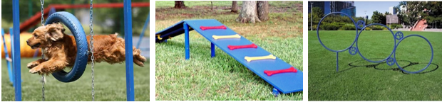 1612320064222403.jpg 20.jpg