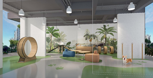 1612320071755862.jpg 21.jpg