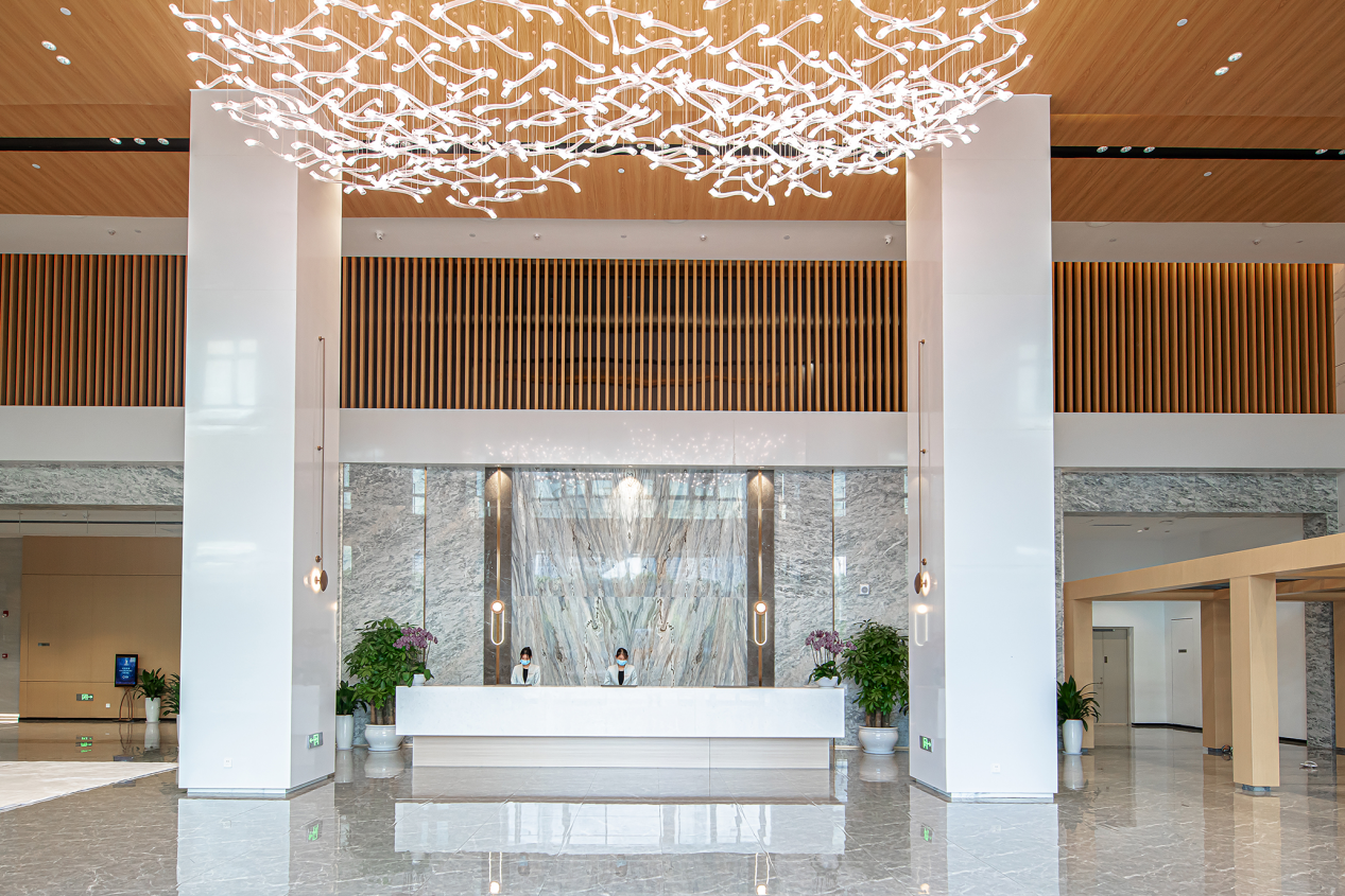 1639538264260217.png 1639538264260217.png